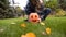 Happy girl taking pumpkin Jack in hands, playing in yard, Halloween celebration