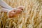 Happy girl walking in golden wheat,with her back, outdoor lifestyle. Freedom concept. Cute little girl in summer field