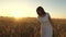 Happy girl in white dress walks field with wheat in rays of beautiful sunset. girl touches the ears of ripe wheat.