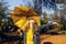 Happy girl, with a yellow umbrella, enjoying the autumn warmth in the Park