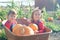 Happy girls sitting inside wheelbarrow at field pumpkin patch