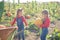 Happy girls with wheelbarrow at field pumpkin patch