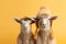 Happy goats posed in stylish fashion on pastel background studio shot with copy space