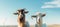 Happy goats in stylish fashion poses on pastel background with copy space for text placement