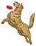 Happy golden retriever dog playing flying disc