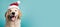 Happy Golden Retriever wearing a Santa hat. Christmas pet theme banner. Generative AI image