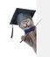 Happy graduated cat holding a pointing stick and points on empty banner. isolated on white background