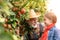 Happy granddad and granddaughter picking up apples