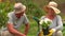 Happy grandmother and grandfather gardening