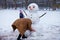 Happy grandmother and little granddaughter sculpt a big real snowman