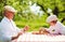 Happy grandpa and grandson playing chess in spring garden