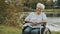 Happy granny in the wheelchair enjoying autumn day near the river