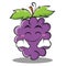 Happy grape character cartoon collection