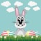 Happy gray bunny colorful eggs daisy meadow