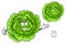 Happy green cartoon cabbage vegetable