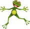 Happy green frog