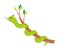 Happy Green Snake or Serpent Curling Around Tree Branch Vector Illustration