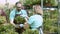 Happy greenhouse gardeners examining houseplants in pots