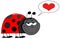 Happy grinning ladybug in love