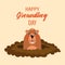 Happy groundhog day, funny groundhog character crawls out of the ground. Congratulation banner, postcard, poster