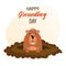 Happy groundhog day, funny groundhog character crawls out of the ground. Congratulation banner, postcard, poster