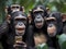 happy group of chimpanzeess smiling taking selfie-summer vibes