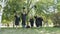 A happy group of graduates on graduation day runs around the park and throws their hats up.