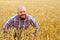 Happy hairless farmer with beard in ripe wheat field near ears of wheat.
