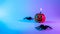 Happy halloween. Black night spider, scary spooky pumpkin on night neon helloween background. Happy Halloween concept