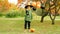 Happy Halloween boy walking in autumn park holding lantern in hand
