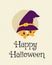 Happy Halloween Card Design, Cute Cat Peeking Cartoon Vector