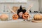 Happy halloween. Cute little girl in witch costume with carving pumpkin. Happy family preparing for Halloween