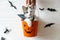 Happy Halloween. Evil kitten sitting in halloween trick or treat bucket on white background with black bats. Hand holding jack o`
