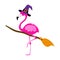 Happy Halloween - with flamingo witch with broomstick - funny vector label.