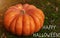 Happy Halloween greeting card. Bright orange pumpkin on green grass background. Fall backyard decor for Thanksgiving