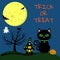Happy Halloween. A Halloween cat with a medallion and green eyes sits on the background of the full moon. Nearby pumpkin