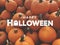 Happy Halloween Holiday Text Graphic Design Illustration Over Orange Fall Pumpkins Harvest Background