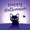 Happy Halloween. Horror black cat with spider-web under moonlight background