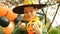 Happy Halloween little boy taking holiday candy out of pumpkin shaped bucket.