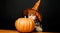 Happy Halloween. Little boy in witch hat with halloween pumpkin. Child with Jack-o-lantern.