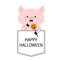 Happy Halloween. Pig face head in the pocket. Pumpkin. Cute cartoon animals. Piggy piglet character. Dash line. White and black