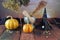 Happy Halloween, pumpkins, mortar, healing plants, witch hat and dry branches on sunset background, composition