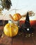 Happy Halloween, pumpkins, mortar, healing plants, witch hat and dry branches on sunset background, composition