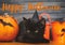 Happy Halloween text on black evil cat and pumpkin with bats on dark wooden background, celebrating halloween at home. Handwritten