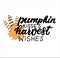 Happy harvest quote pumpkin kisses harvest wishes. Hand lettering phrasw with autumn color maple leave. Orange and yellow colors