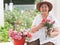 Happy and healthy Asian senior woman wearing hat smiling , holding rose bush and sitting by roses bucket in rose garden. Asian