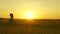 Happy healthy little daughter runs across the field in summer in the sunset light. funny kid playing in the park