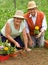 Happy healthy seniors gardening