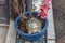 Happy hedgehog figure in flowerpot. Kanazawa, Japan