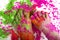 Happy Holi Festival! Holi Celebration Party - female feet colored Multicolor Paint